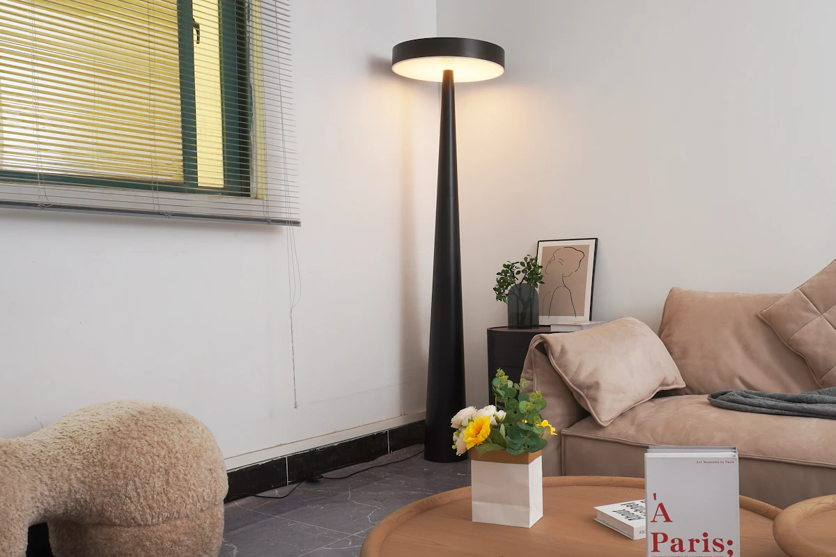 Warm apartment corner illuminated by a slim black floor lamp
