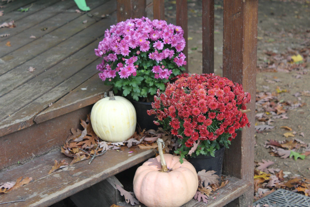 Front steps styled with autumn flowers, pumpkins, and natural seasonal color