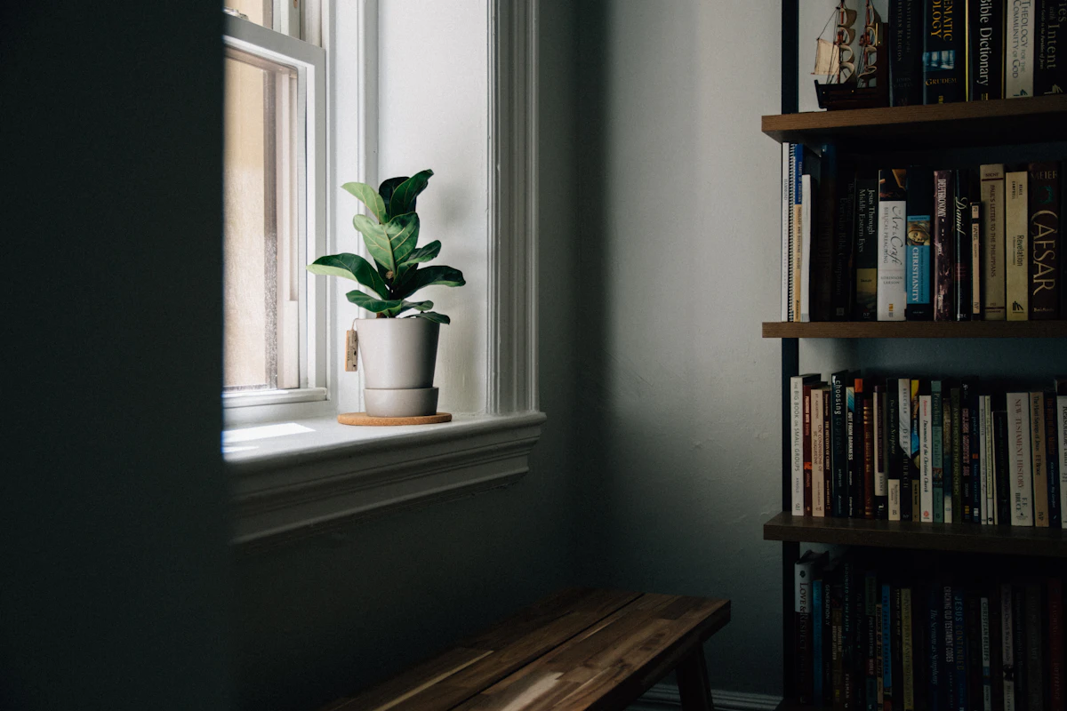 Living room corner with bookshelf storage and plants using vertical space efficiently