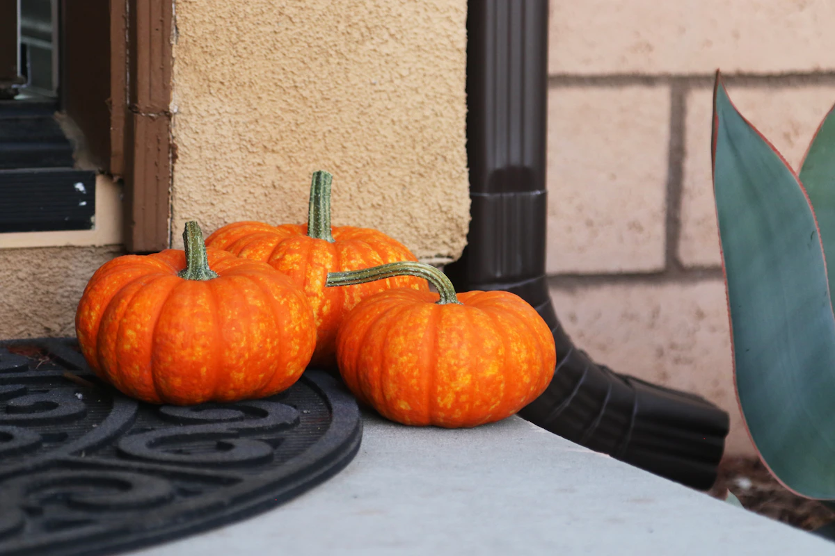 Three small pumpkins styled on a doorstep with plenty of clear walking space