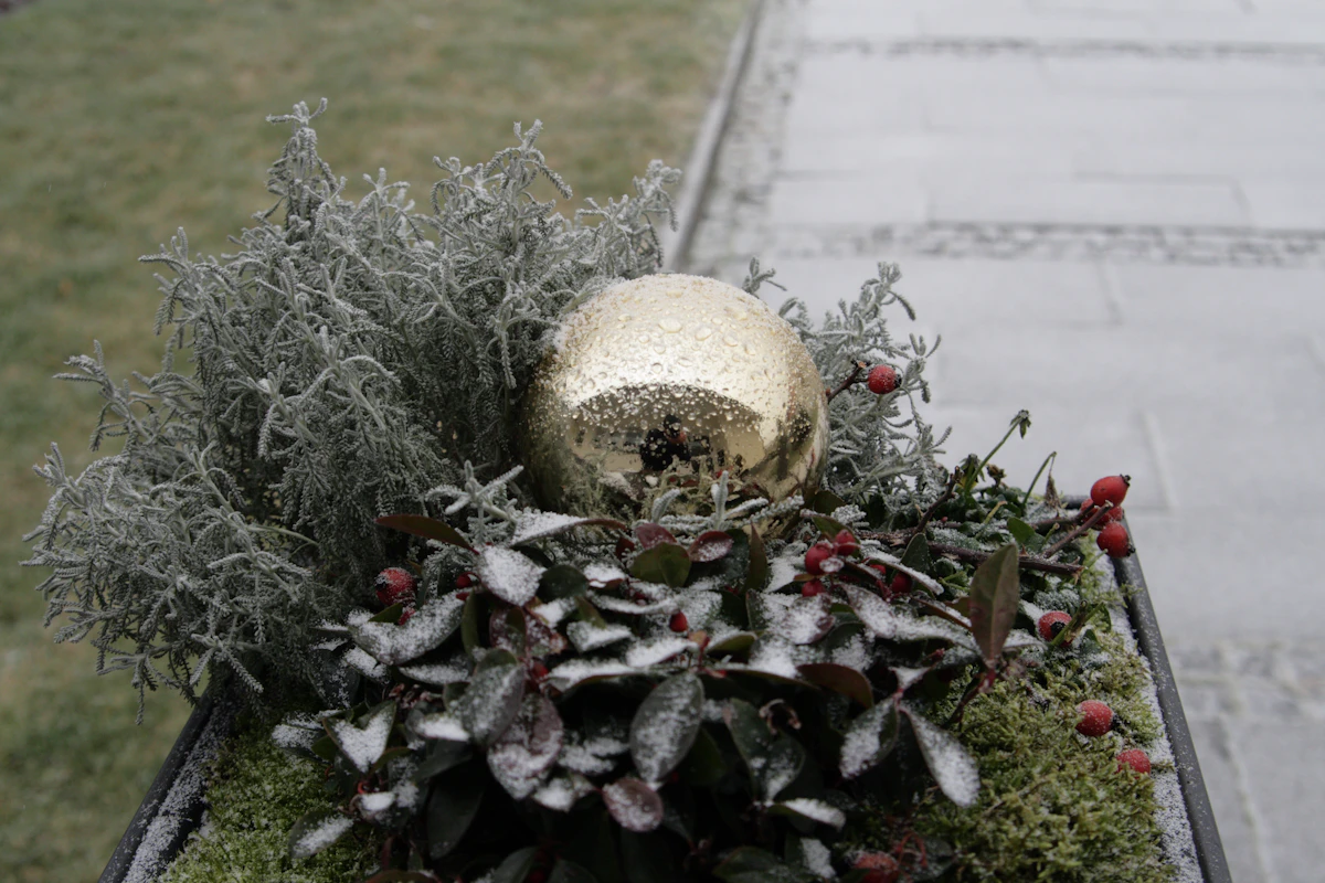 Outdoor Christmas planter with evergreen foliage, red berries, and winter ornament accents