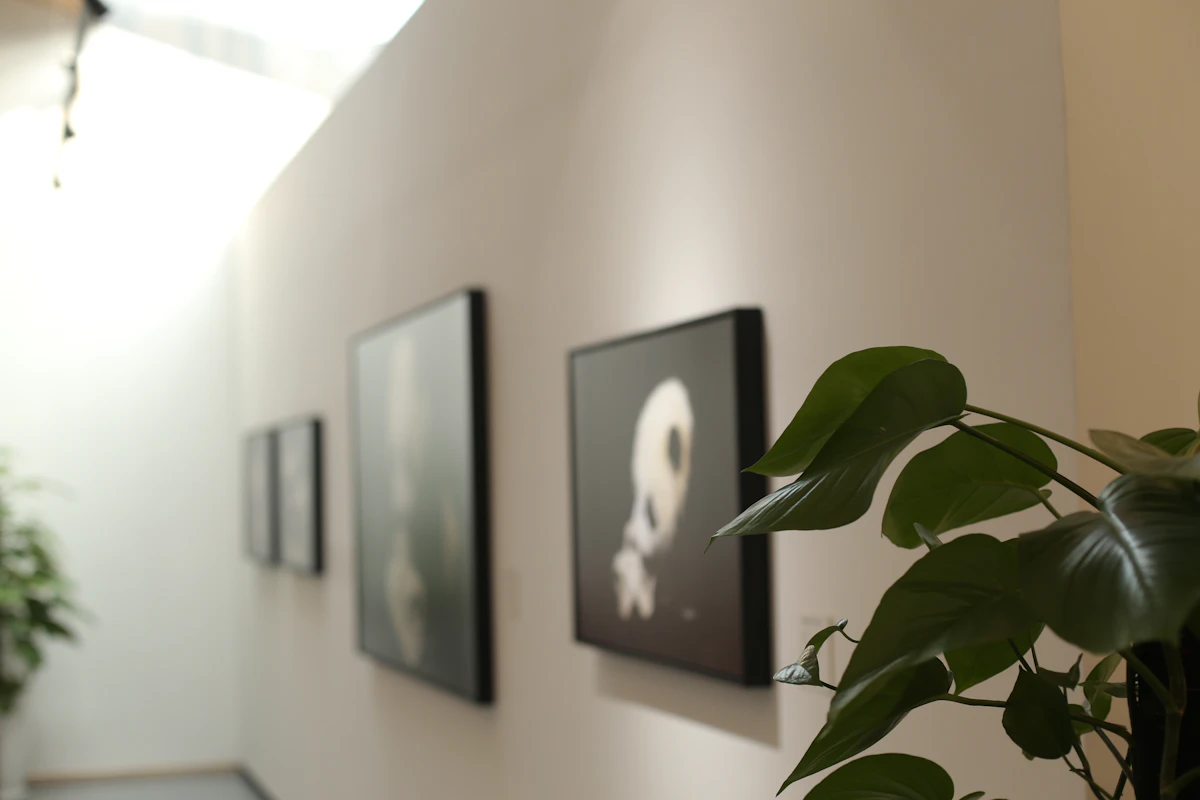 Narrow hallway gallery wall with framed artwork and plants