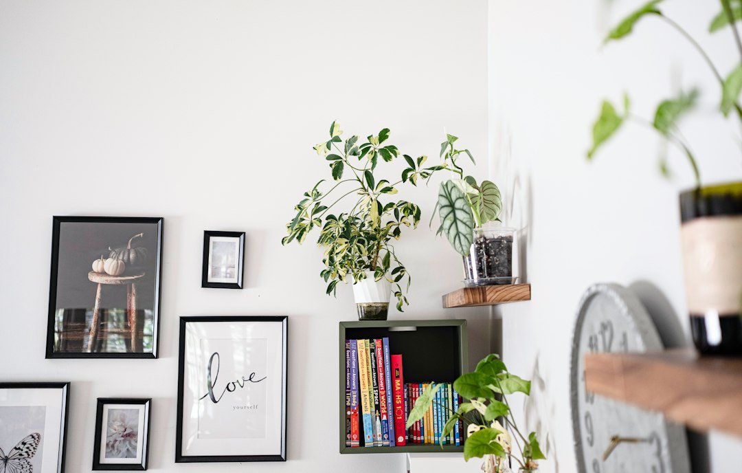 Wall art and plants styled on floating shelves in a living room